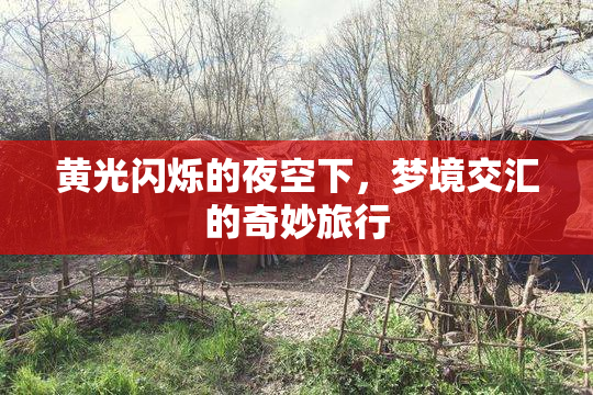 黄光闪烁的夜空下，梦境交汇的奇妙旅行