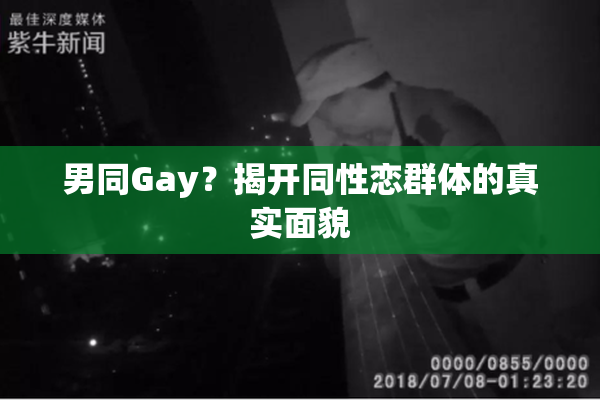 男同Gay？揭开同性恋群体的真实面貌