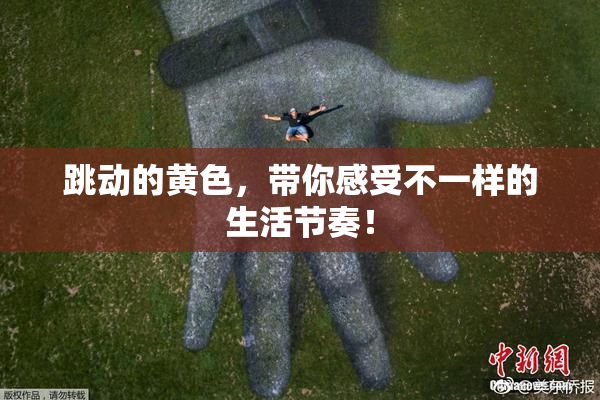 跳动的黄色，带你感受不一样的生活节奏！