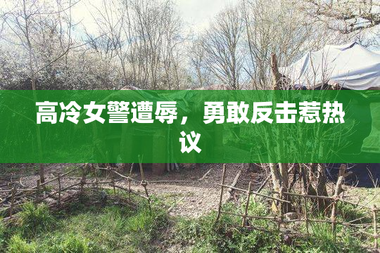 高冷女警遭辱，勇敢反击惹热议