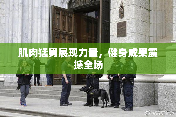 肌肉猛男展现力量，健身成果震撼全场