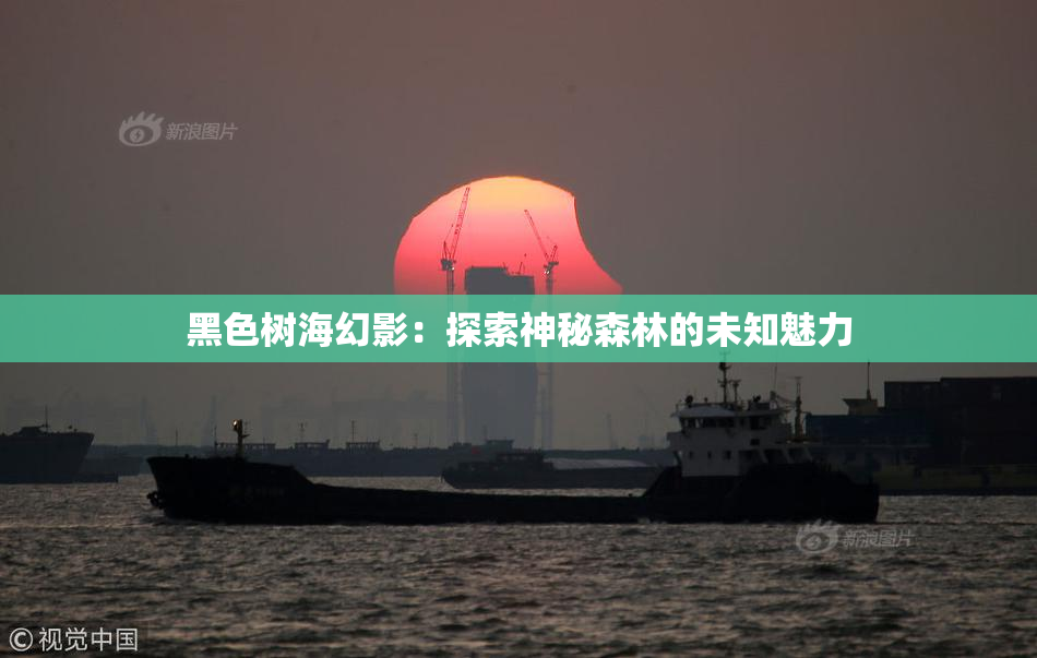 黑色树海幻影：探索神秘森林的未知魅力