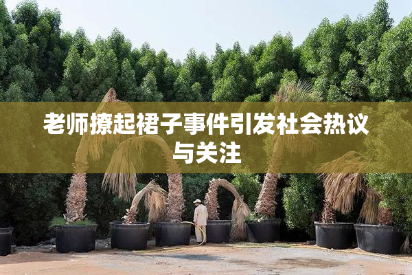 老师撩起裙子事件引发社会热议与关注