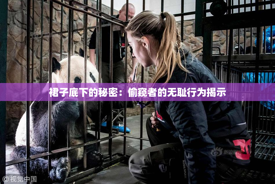 裙子底下的秘密：偷窥者的无耻行为揭示