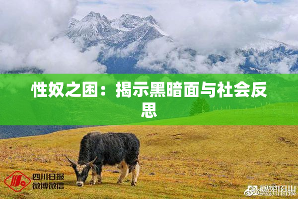 性奴之困：揭示黑暗面与社会反思