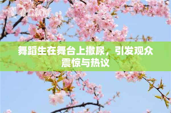 舞蹈生在舞台上撒尿，引发观众震惊与热议