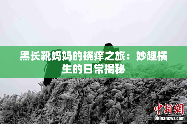 黑长靴妈妈的挠痒之旅：妙趣横生的日常揭秘
