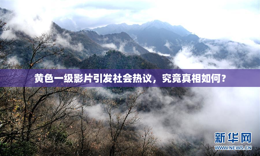 黄色一级影片引发社会热议，究竟真相如何？