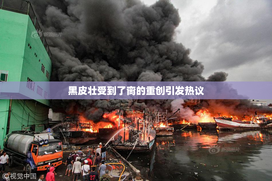 黑皮壮受到了脔的重创引发热议
