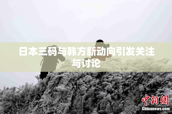 日本三码与韩方新动向引发关注与讨论