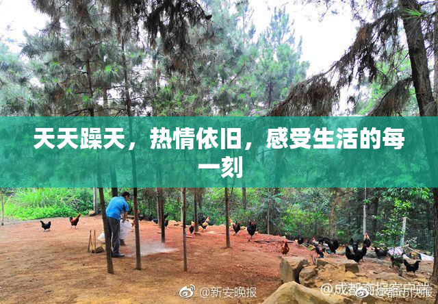 天天躁天，热情依旧，感受生活的每一刻