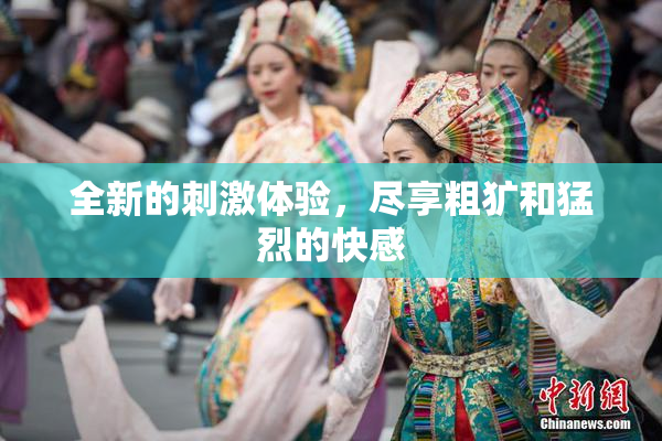 全新的刺激体验，尽享粗犷和猛烈的快感
