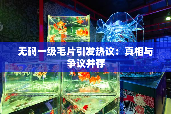 无码一级毛片引发热议：真相与争议并存