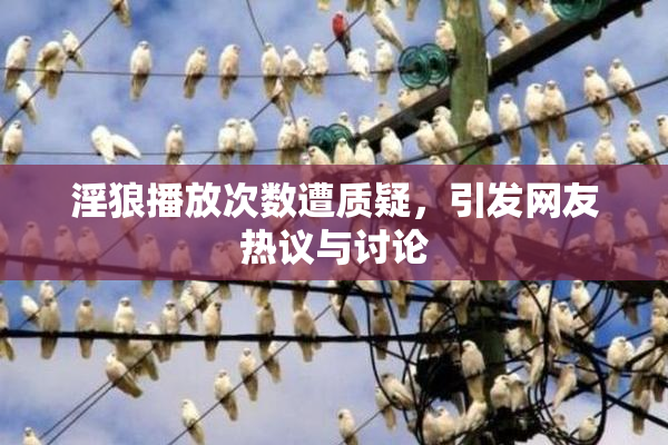 淫狼播放次数遭质疑，引发网友热议与讨论