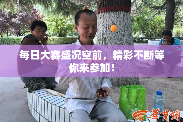 每日大赛盛况空前，精彩不断等你来参加！
