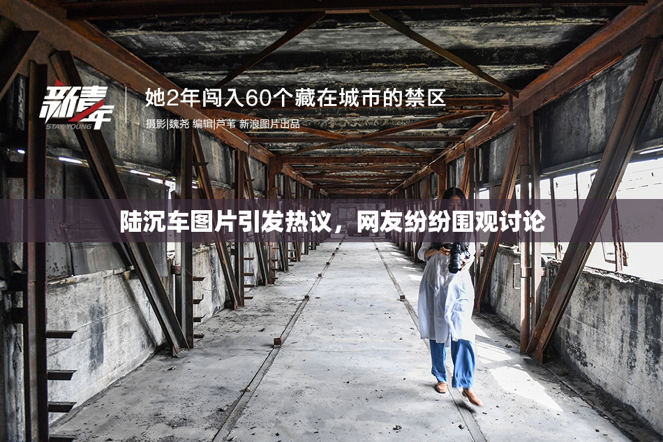 陆沉车图片引发热议，网友纷纷围观讨论