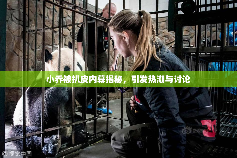 小乔被扒皮内幕揭秘，引发热潮与讨论