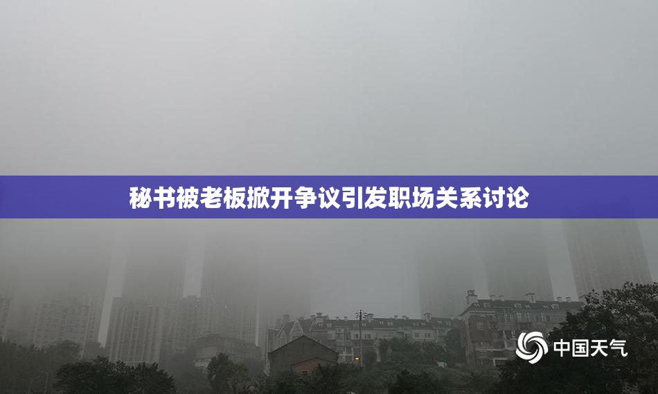 秘书被老板掀开争议引发职场关系讨论