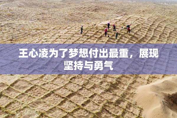 王心凌为了梦想付出最重，展现坚持与勇气