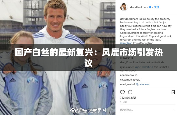 国产白丝的最新复兴：风靡市场引发热议