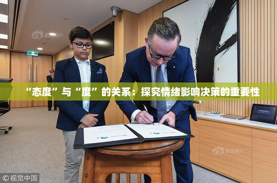 “态度”与“度”的关系：探究情绪影响决策的重要性