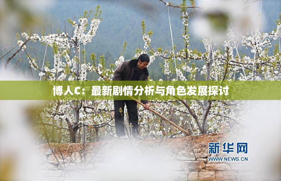 博人C：最新剧情分析与角色发展探讨