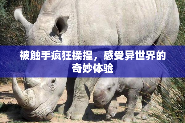 被触手疯狂揉捏，感受异世界的奇妙体验
