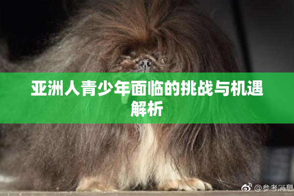 亚洲人青少年面临的挑战与机遇解析