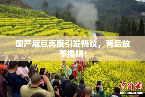 国产麻豆再度引发热议，背后故事揭晓！