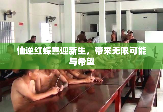 仙逆红蝶喜迎新生，带来无限可能与希望