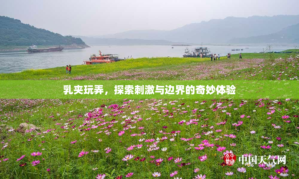 乳夹玩弄，探索刺激与边界的奇妙体验