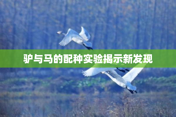驴与马的配种实验揭示新发现