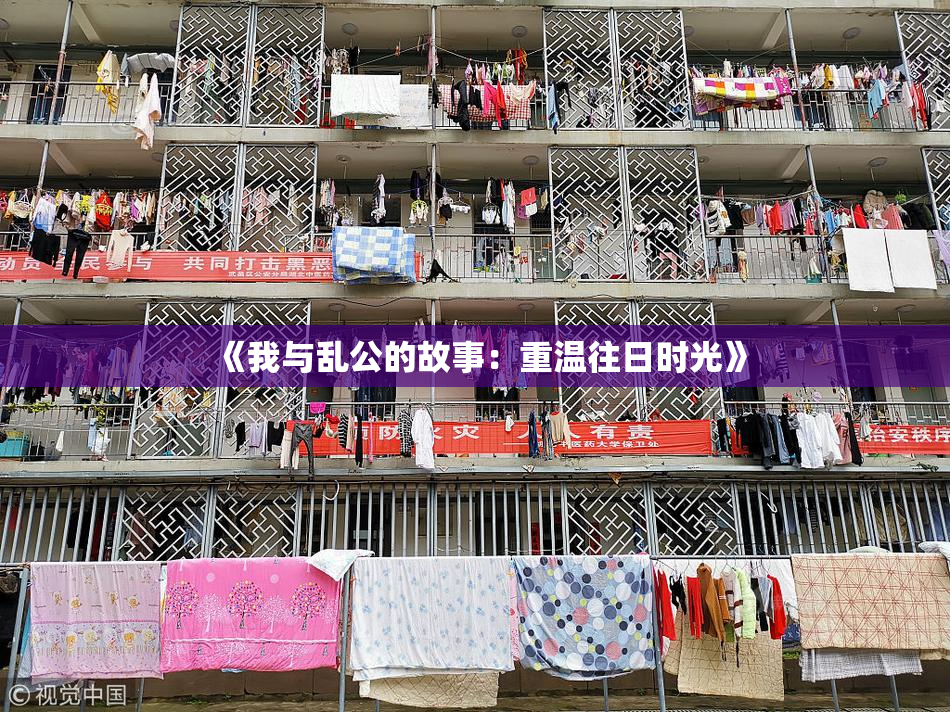 《我与乱公的故事：重温往日时光》