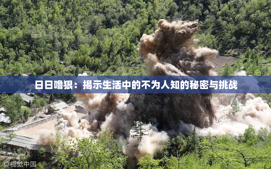 日日噜狠：揭示生活中的不为人知的秘密与挑战