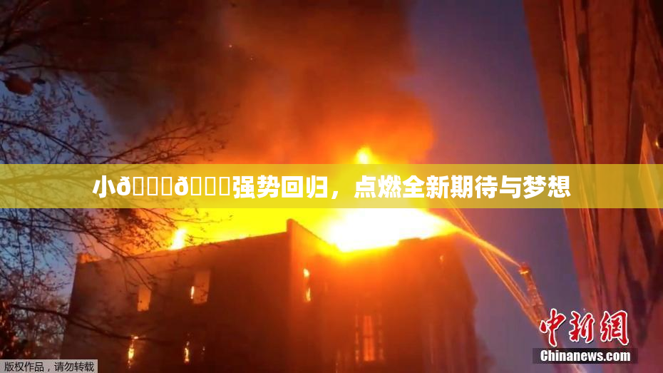 小🐔🐔强势回归，点燃全新期待与梦想