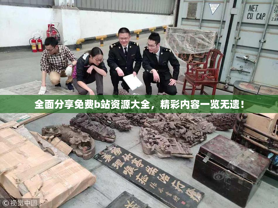 全面分享免费b站资源大全，精彩内容一览无遗！