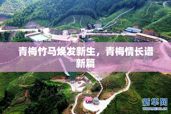 青梅竹马焕发新生，青梅情长谱新篇