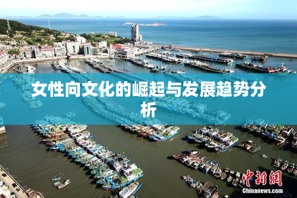 女性向文化的崛起与发展趋势分析