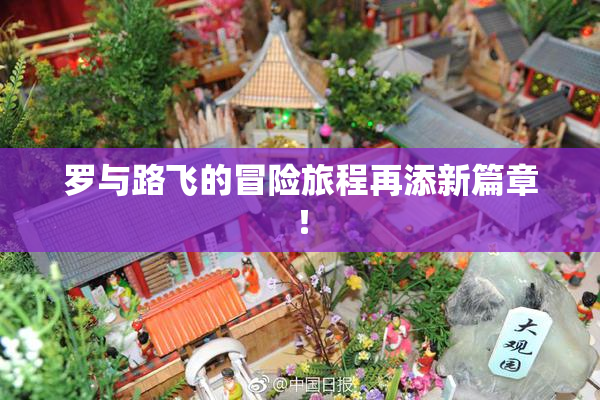 罗与路飞的冒险旅程再添新篇章！