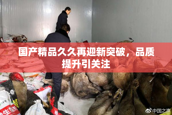 国产精品久久再迎新突破，品质提升引关注