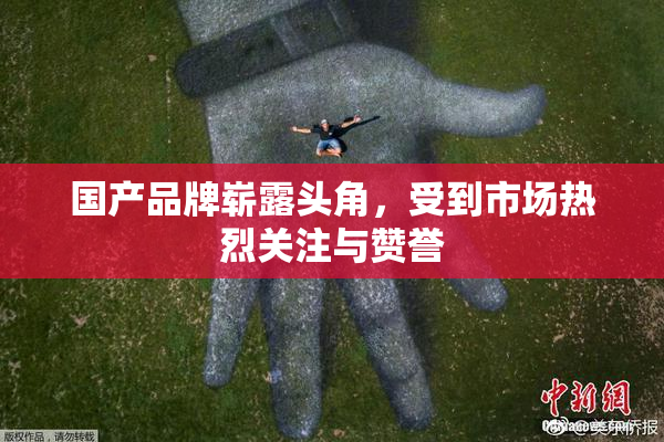 国产品牌崭露头角，受到市场热烈关注与赞誉
