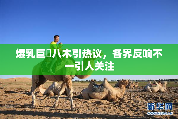 爆乳巨凥八木引热议，各界反响不一引人关注