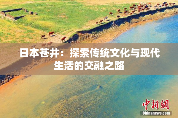 日本苍井：探索传统文化与现代生活的交融之路