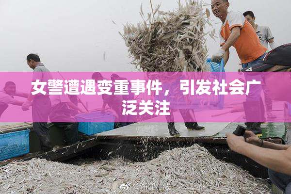 女警遭遇变重事件，引发社会广泛关注
