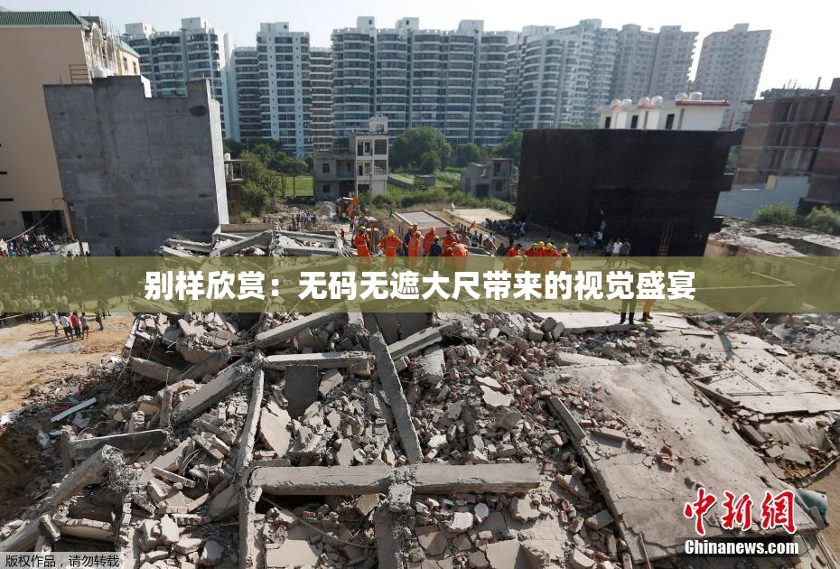 别样欣赏：无码无遮大尺带来的视觉盛宴