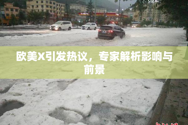 欧美X引发热议，专家解析影响与前景