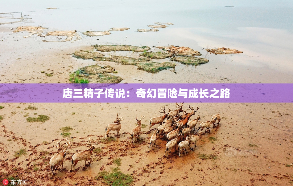 唐三精子传说：奇幻冒险与成长之路