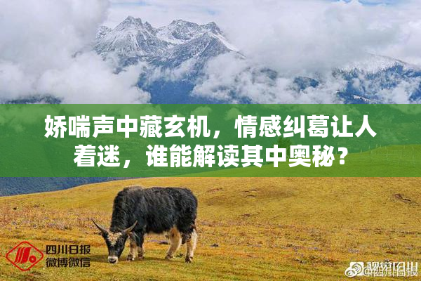 娇喘声中藏玄机，情感纠葛让人着迷，谁能解读其中奥秘？