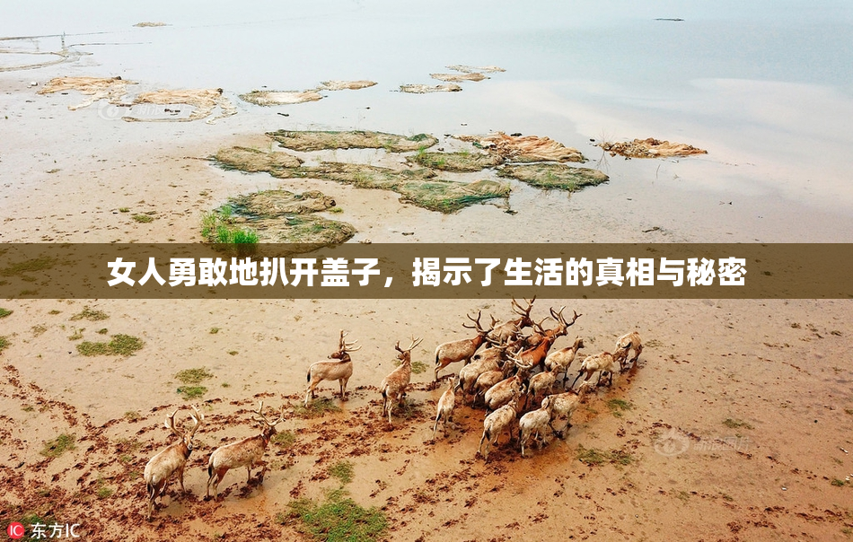 女人勇敢地扒开盖子，揭示了生活的真相与秘密