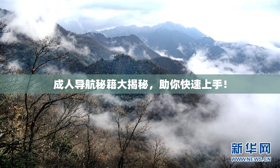 成人导航秘籍大揭秘，助你快速上手！